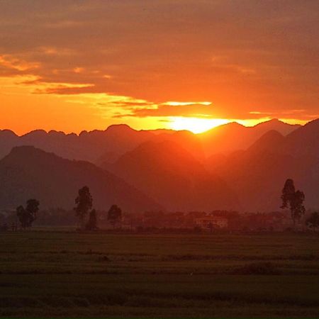 Palafita Bungalow Phong Nha Eksteriør billede