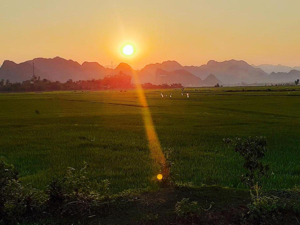Palafita Bungalow Phong Nha Eksteriør billede