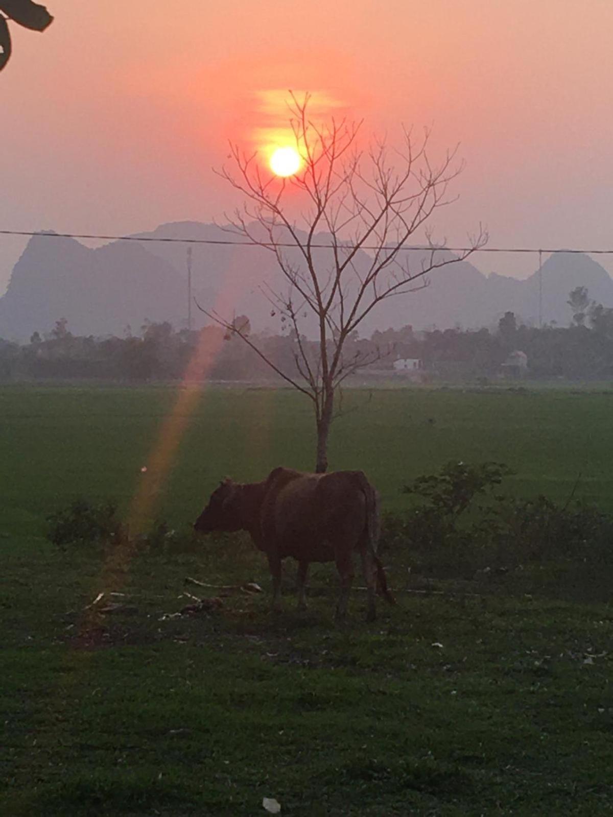 Palafita Bungalow Phong Nha Eksteriør billede