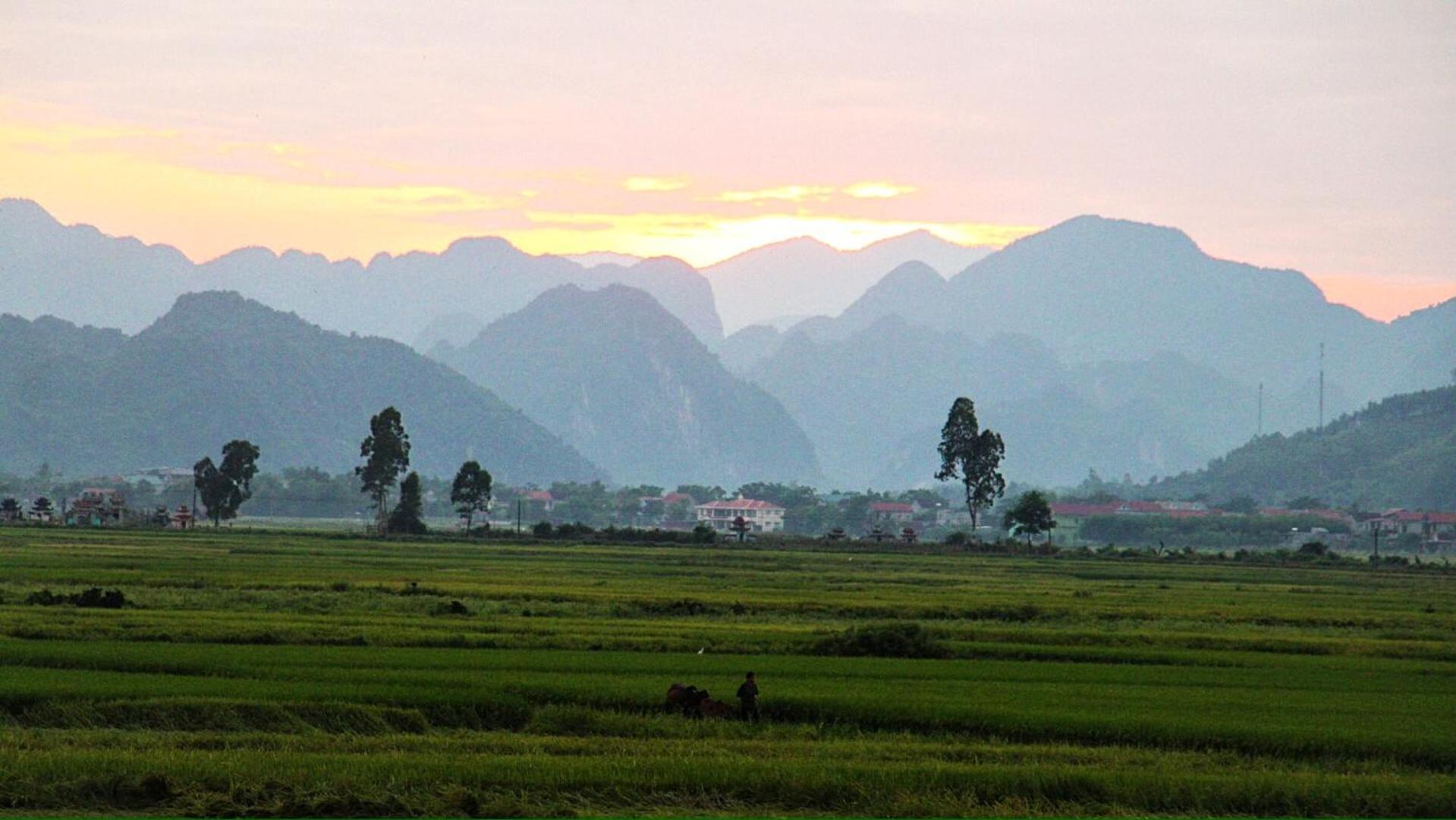 Palafita Bungalow Phong Nha Eksteriør billede