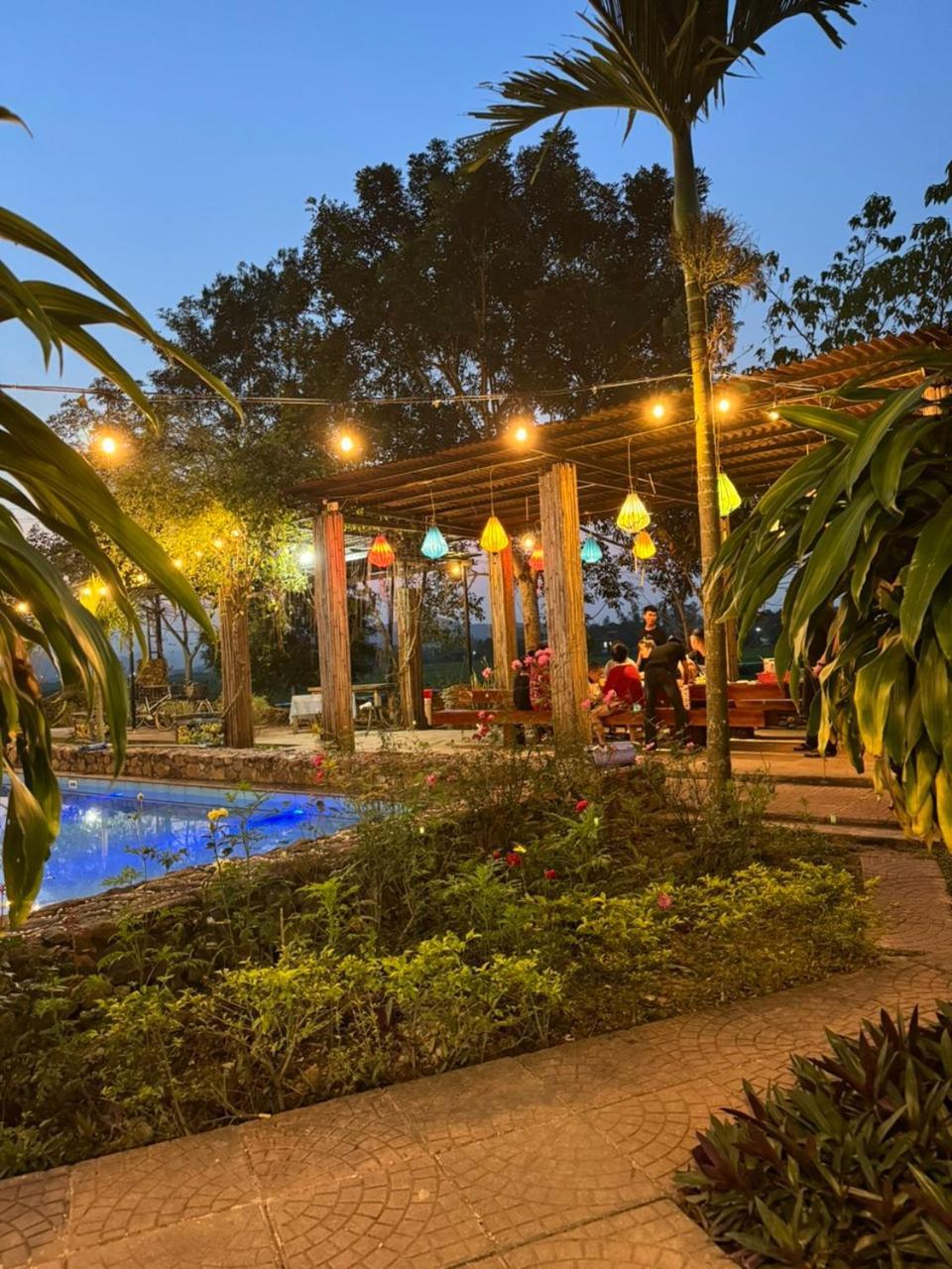 Palafita Bungalow Phong Nha Eksteriør billede