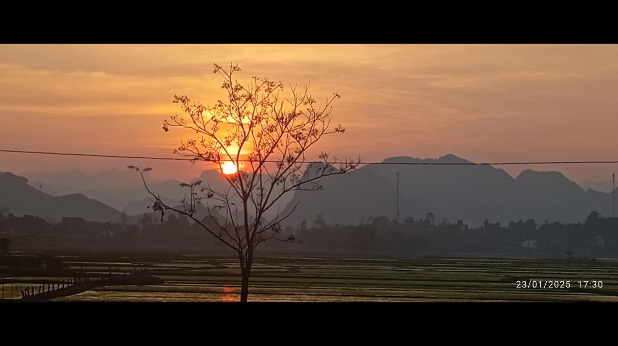 Palafita Bungalow Phong Nha Eksteriør billede