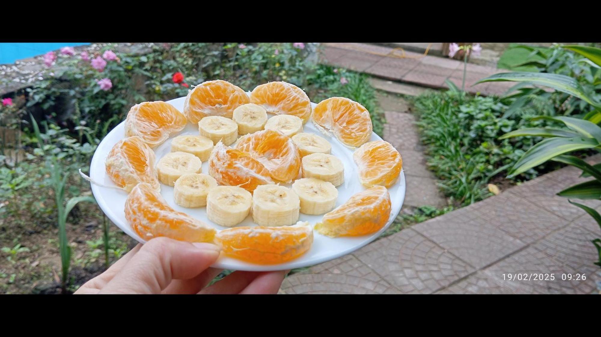 Palafita Bungalow Phong Nha Eksteriør billede