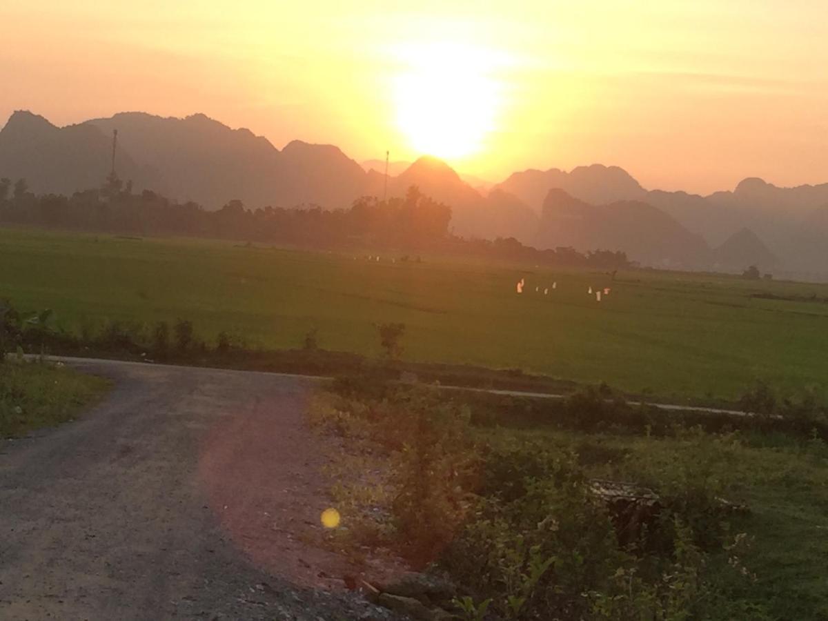 Palafita Bungalow Phong Nha Eksteriør billede